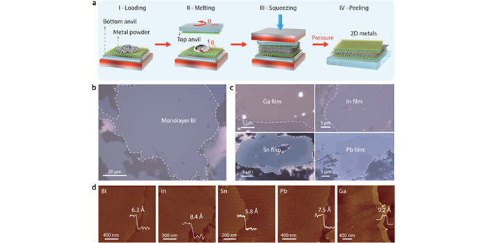 范德华挤压技术实现二维金属的普适制备